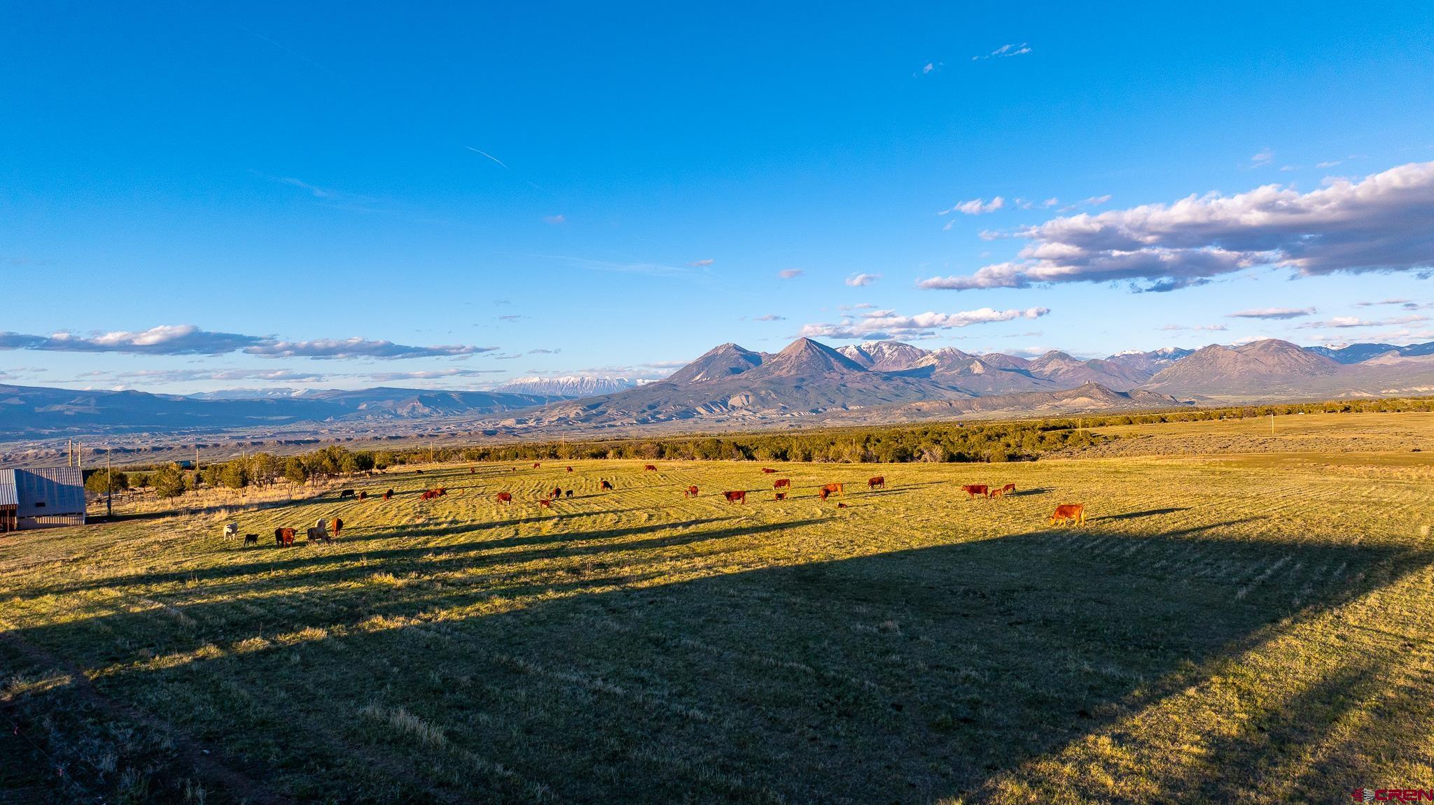 1253 3350th Road Crawford, CO 81415 - Photo 8 of 41 a view of an ocean and a mountain