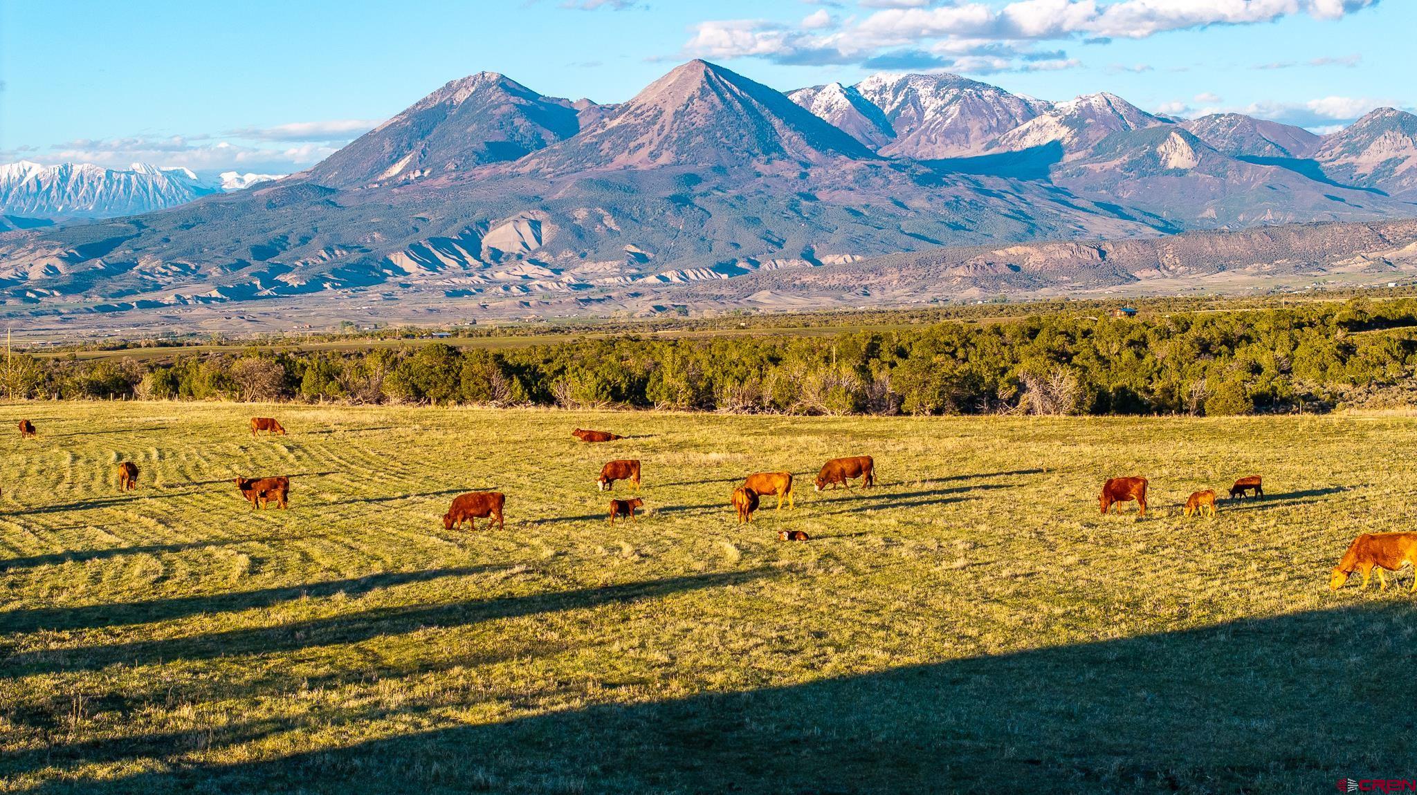 1253 3350th Road Crawford, CO 81415 - Photo 9 of 41 a view of an ocean with a mountain