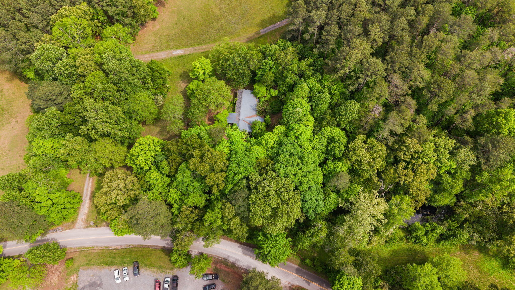 3414 No Pone Road Northwest Georgetown, TN 37336 - Photo 15 of 30 a view of a yard