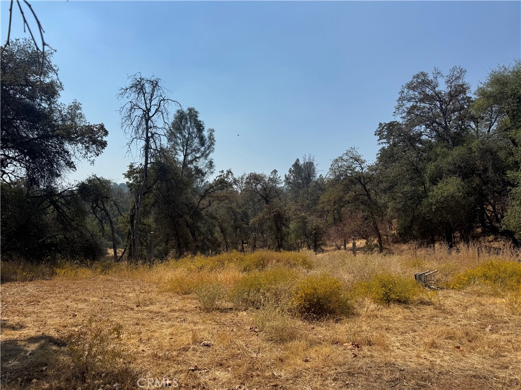 5393 Schafer Road Mariposa, CA 95338 - Photo 9 of 19