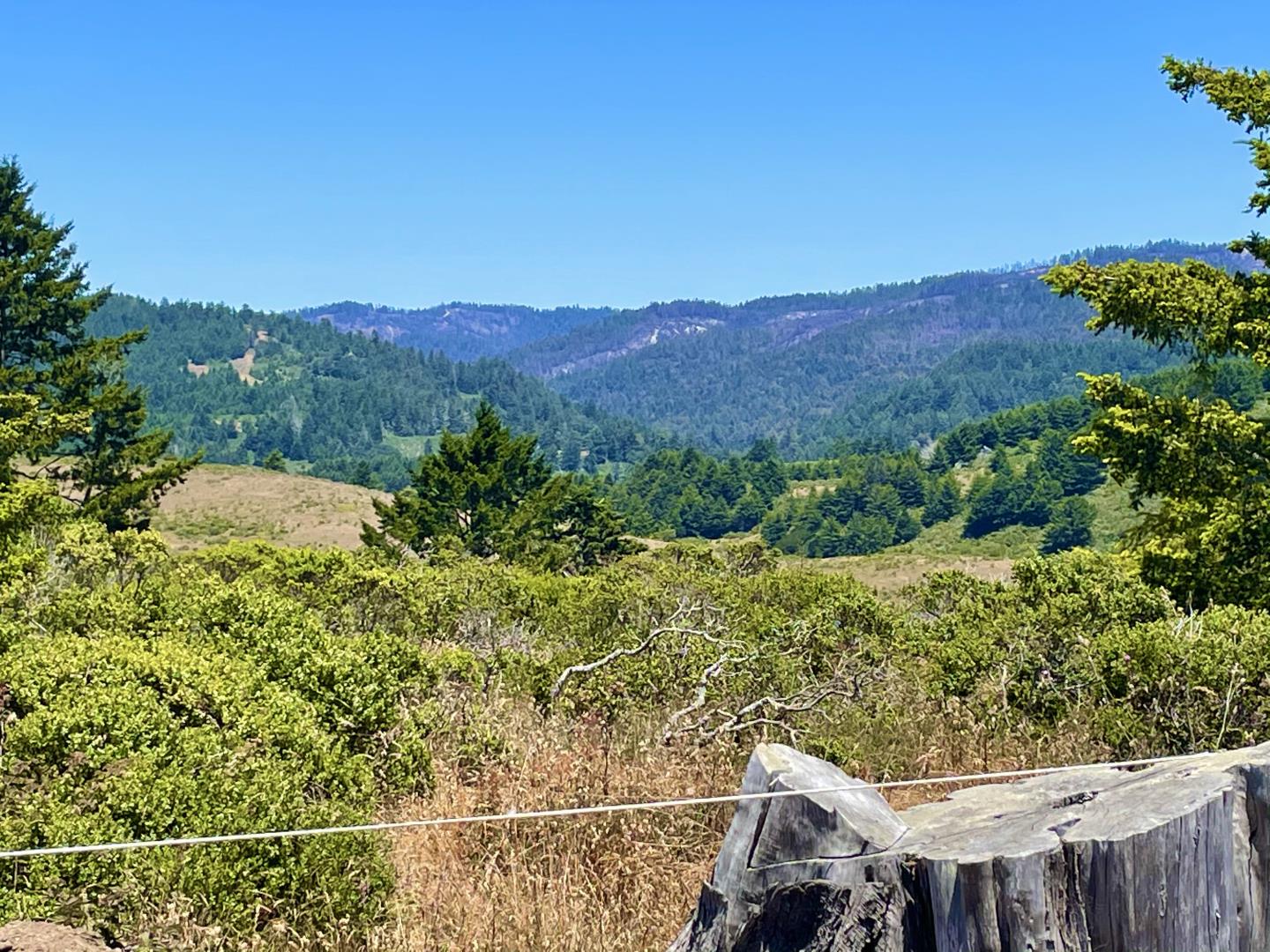 Pigeon Point Road Pescadero, CA 94060 - Photo 12 of 31 a view of a forest with a mountain