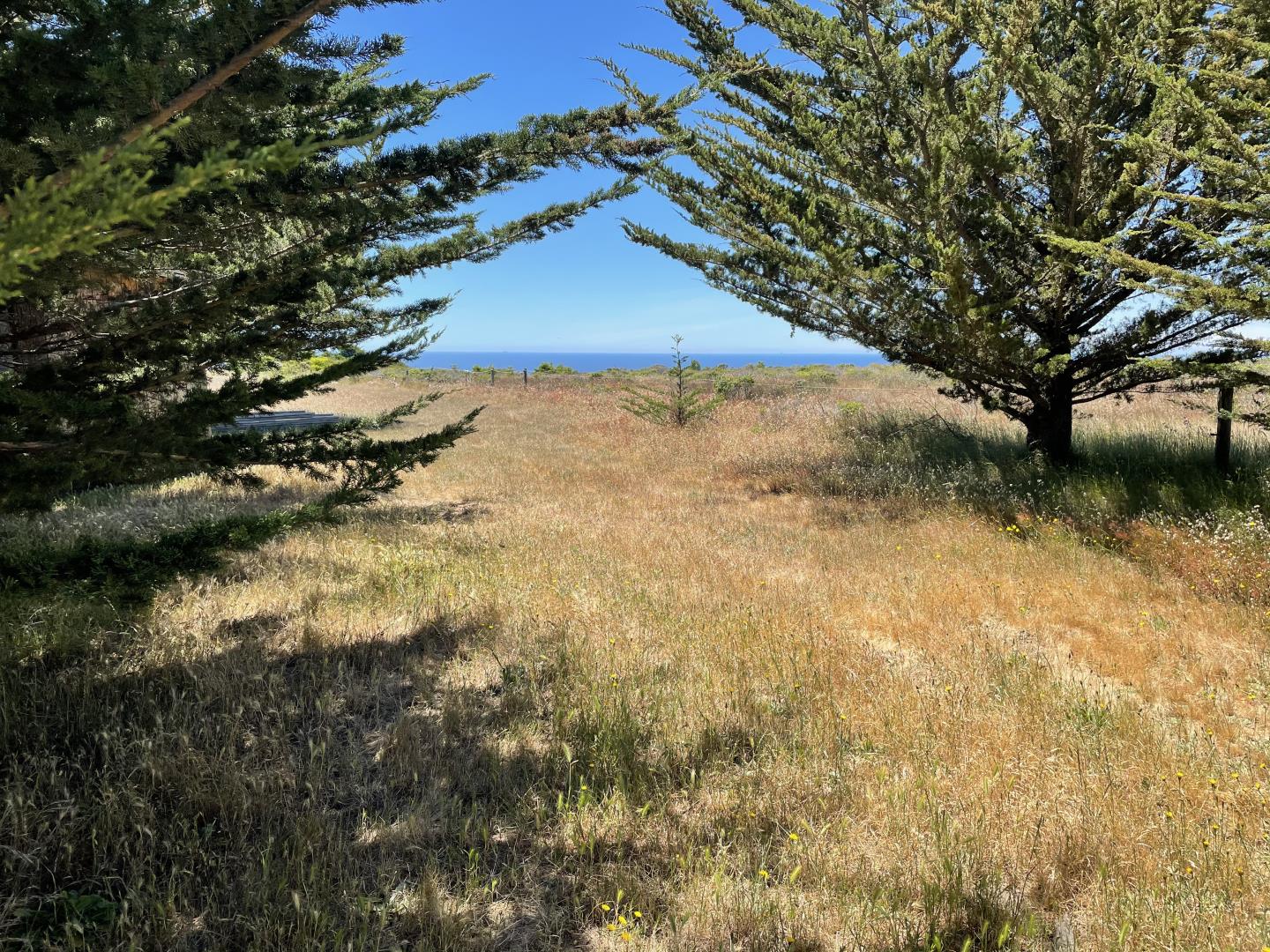 Pigeon Point Road Pescadero, CA 94060 - Photo 16 of 31 a view of outdoor space and a yard