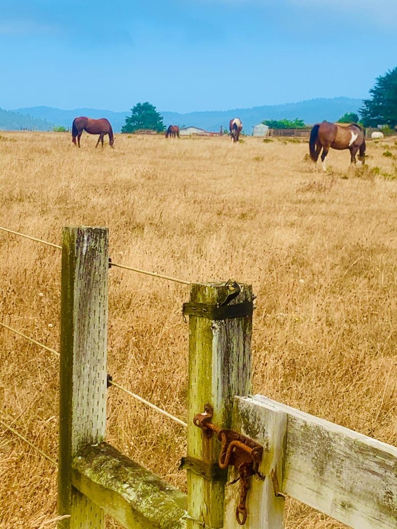 Pigeon Point Road Pescadero, CA 94060 - Photo 2 of 31 a view of a ocean beach