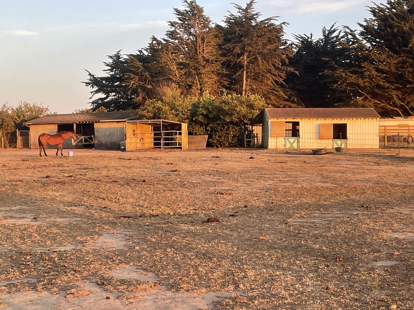 Pigeon Point Road Pescadero, CA 94060 - Photo 26 of 31 a backyard of a house with large trees and brick walls
