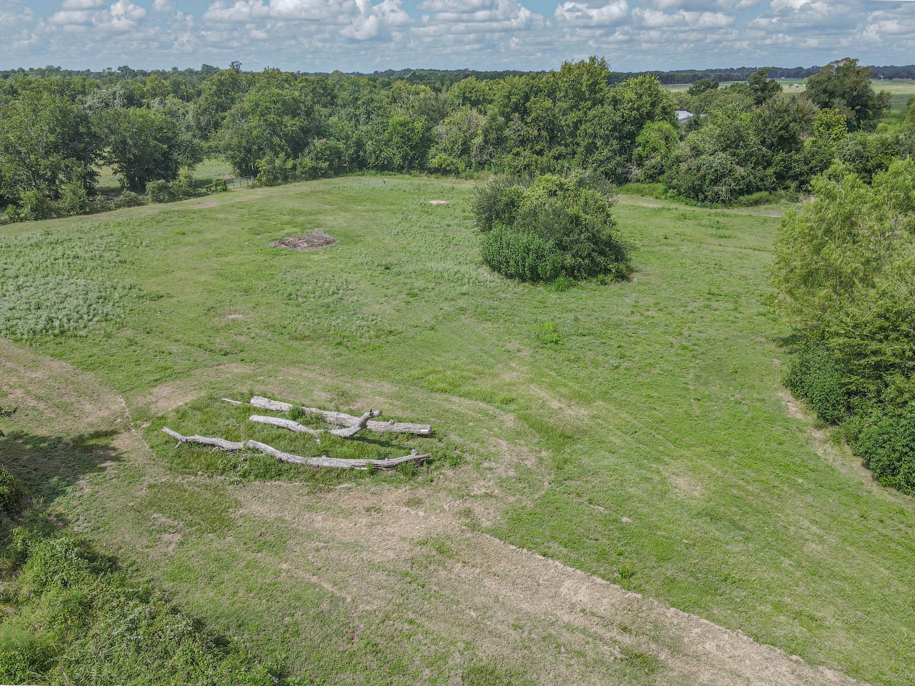 0 Buckskin Road Wallis, TX 77485 - Photo 4 of 6 This photo shows a spacious, grassy plot of land bordered by trees, offering a peaceful and private setting ideal for building a home or recreational use.