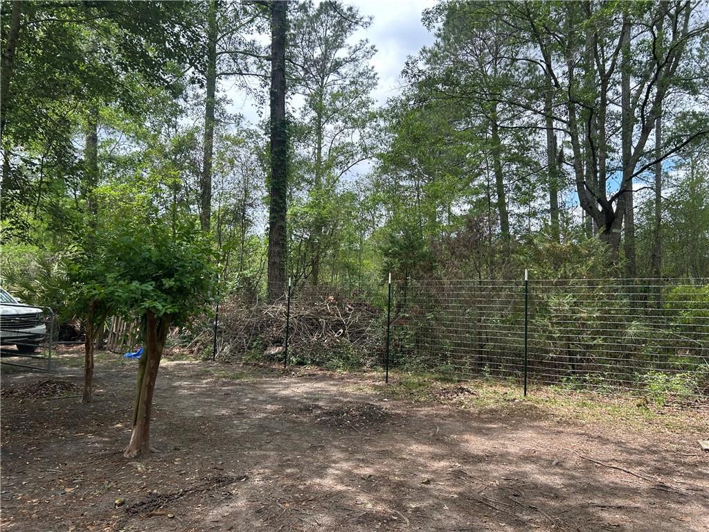 114 Jones Road Hortense, GA 31543 - Photo 8 of 25 a view of a tree with a yard
