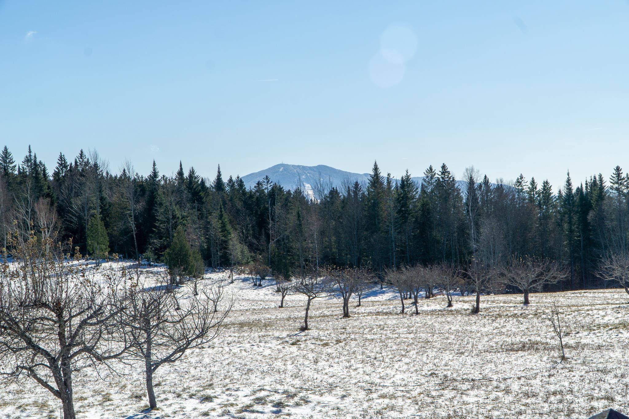 280 Quarter Horse Road Newark, VT 05871 - Photo 25 of 39 Gallery Image 25