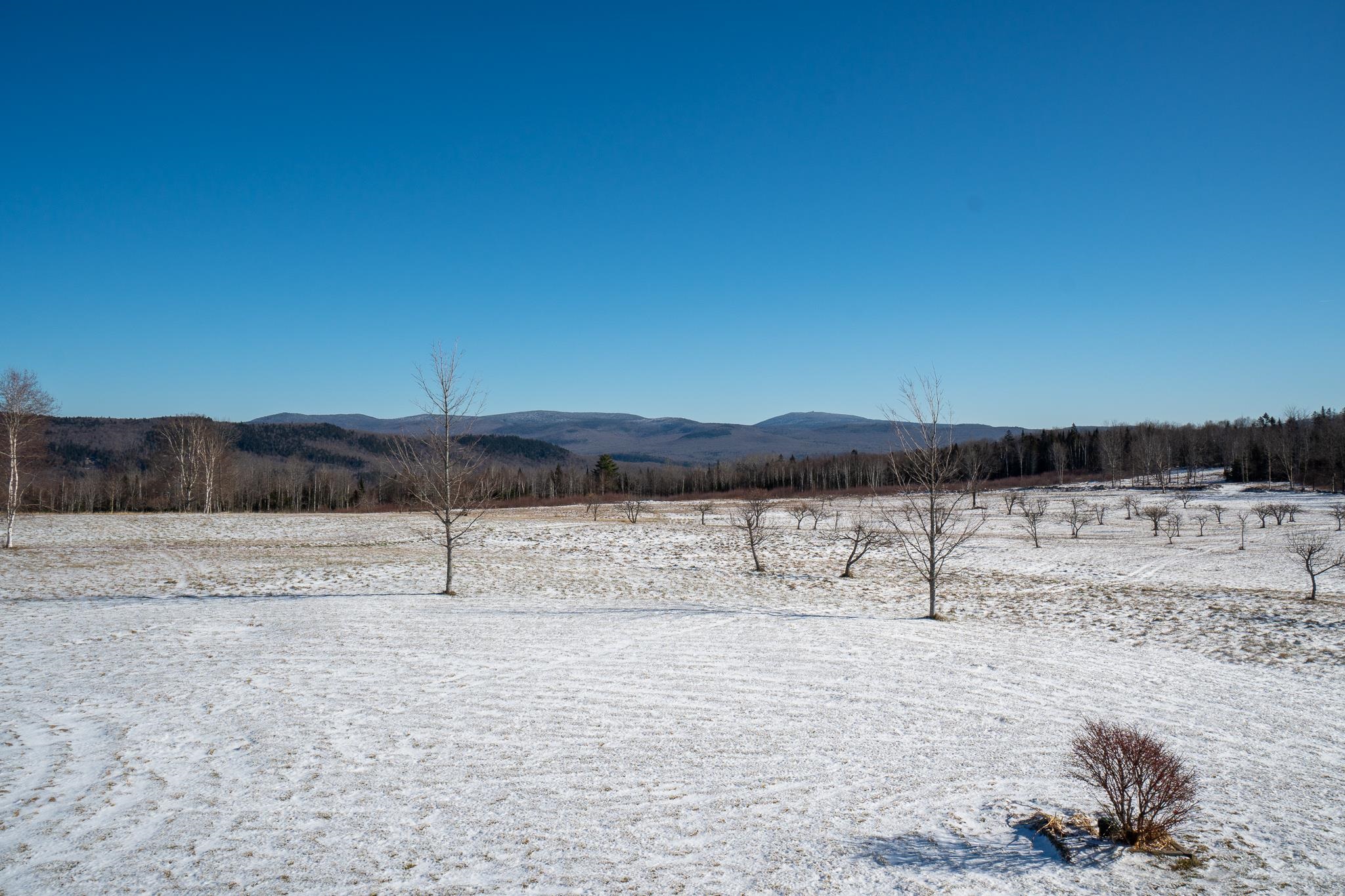 280 Quarter Horse Road Newark, VT 05871 - Photo 27 of 39 Gallery Image 27
