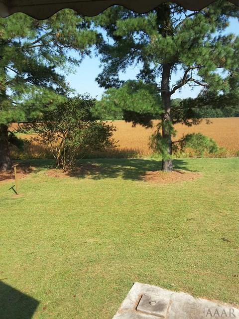 823 Jerry Post Office Road Columbia, NC 27925 - Photo 10 of 34 Gallery Image 10