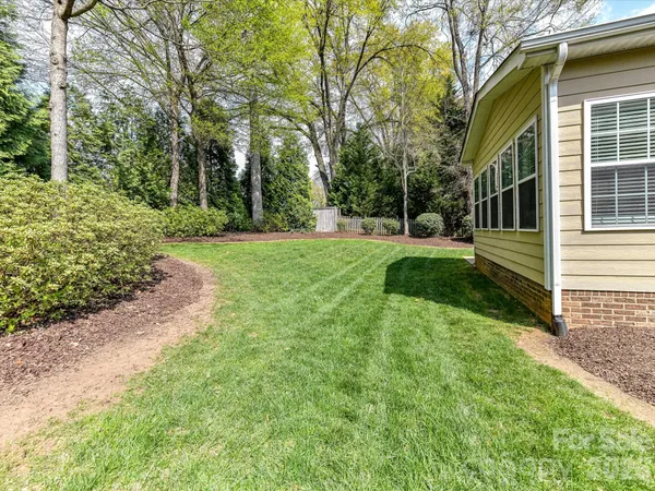 a view of a backyard with plants and large trees