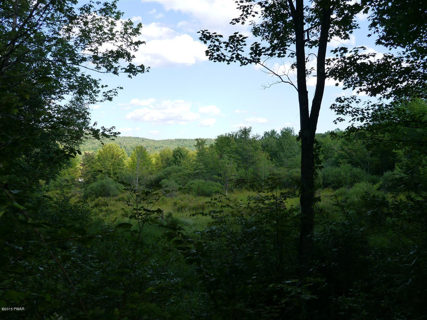 Lot 6 Beech Road Equinunk, PA 18417 - Photo 1 of 4