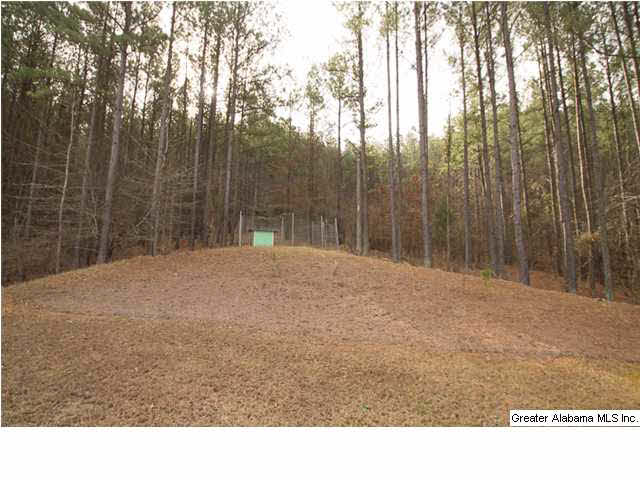 159 Windsor Lane Pelham, AL 35124 - Photo 29 of 31