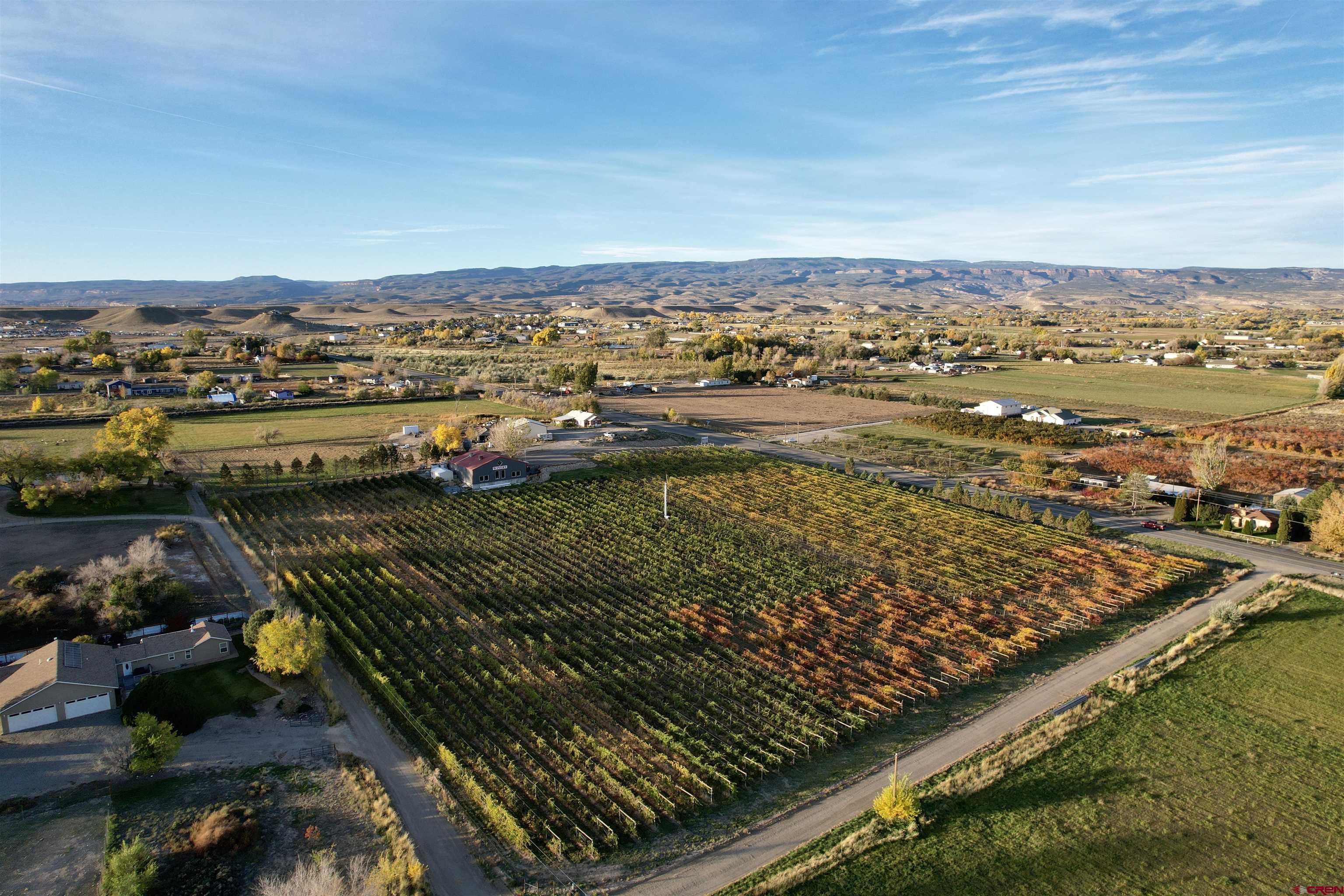 220 32 Road Grand Junction, CO 81503 - Photo 12 of 24 Gallery Image 12