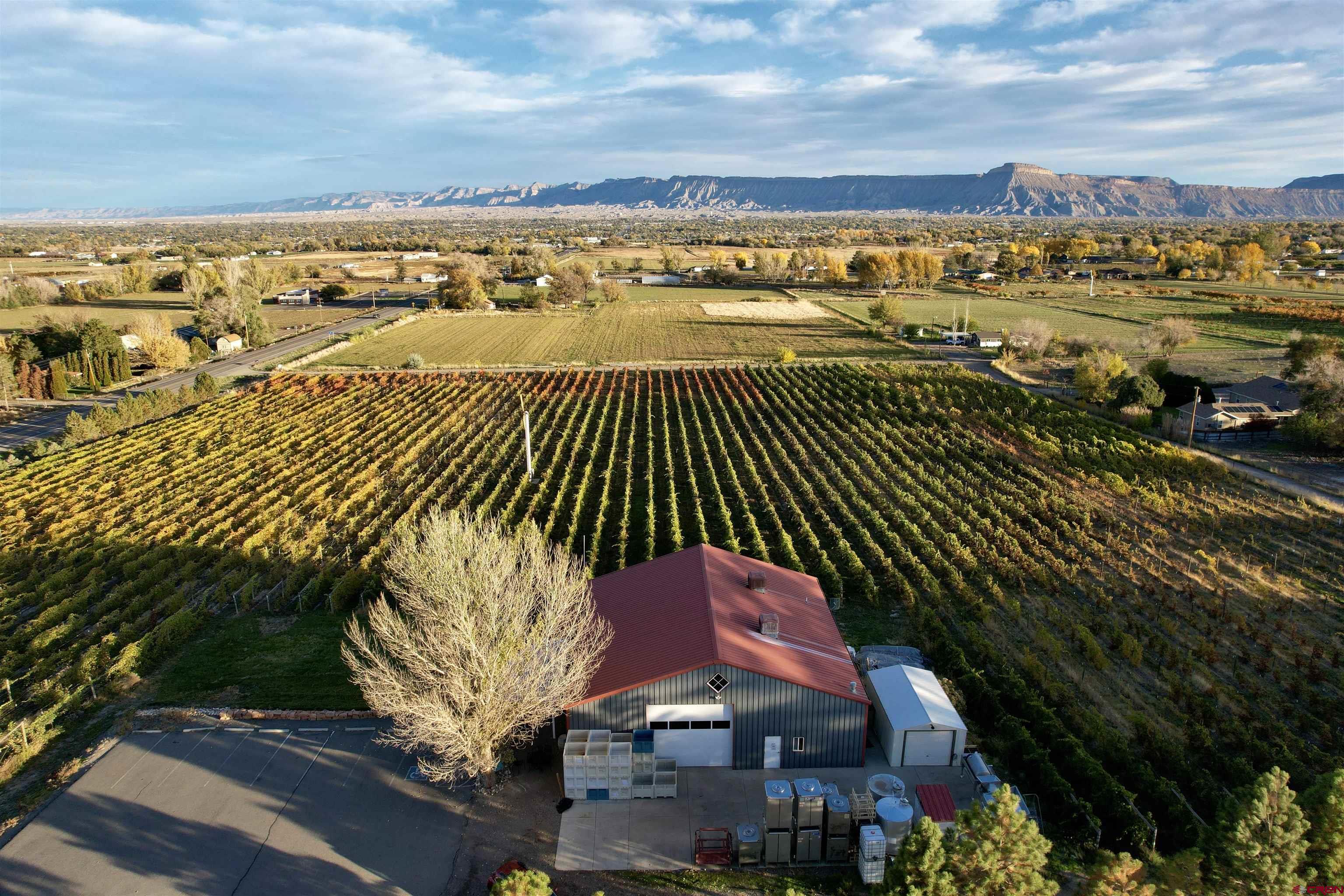 220 32 Road Grand Junction, CO 81503 - Photo 14 of 24 Gallery Image 14