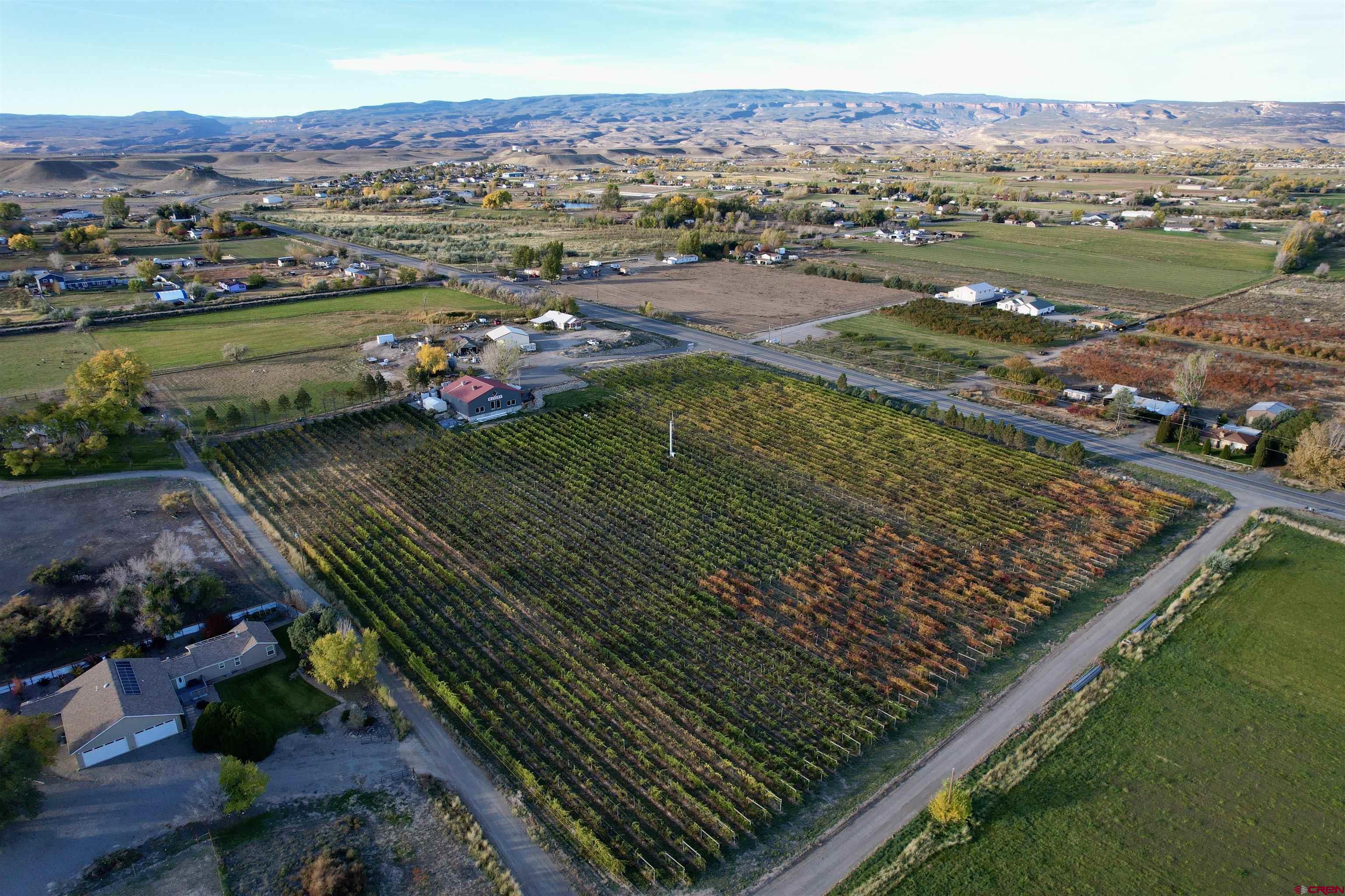 220 32 Road Grand Junction, CO 81503 - Photo 15 of 24 Gallery Image 15