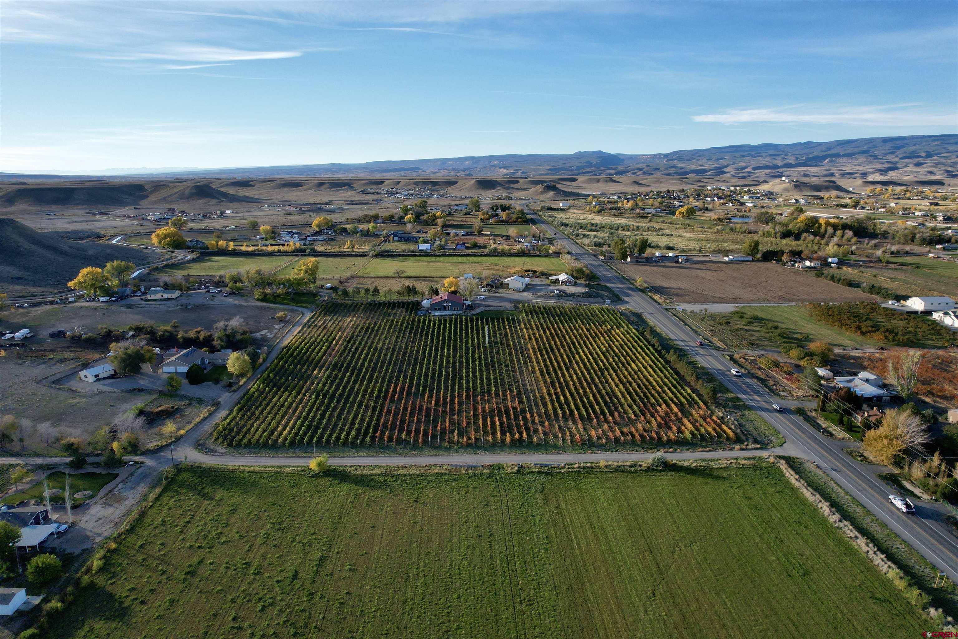 220 32 Road Grand Junction, CO 81503 - Photo 16 of 24 Gallery Image 16