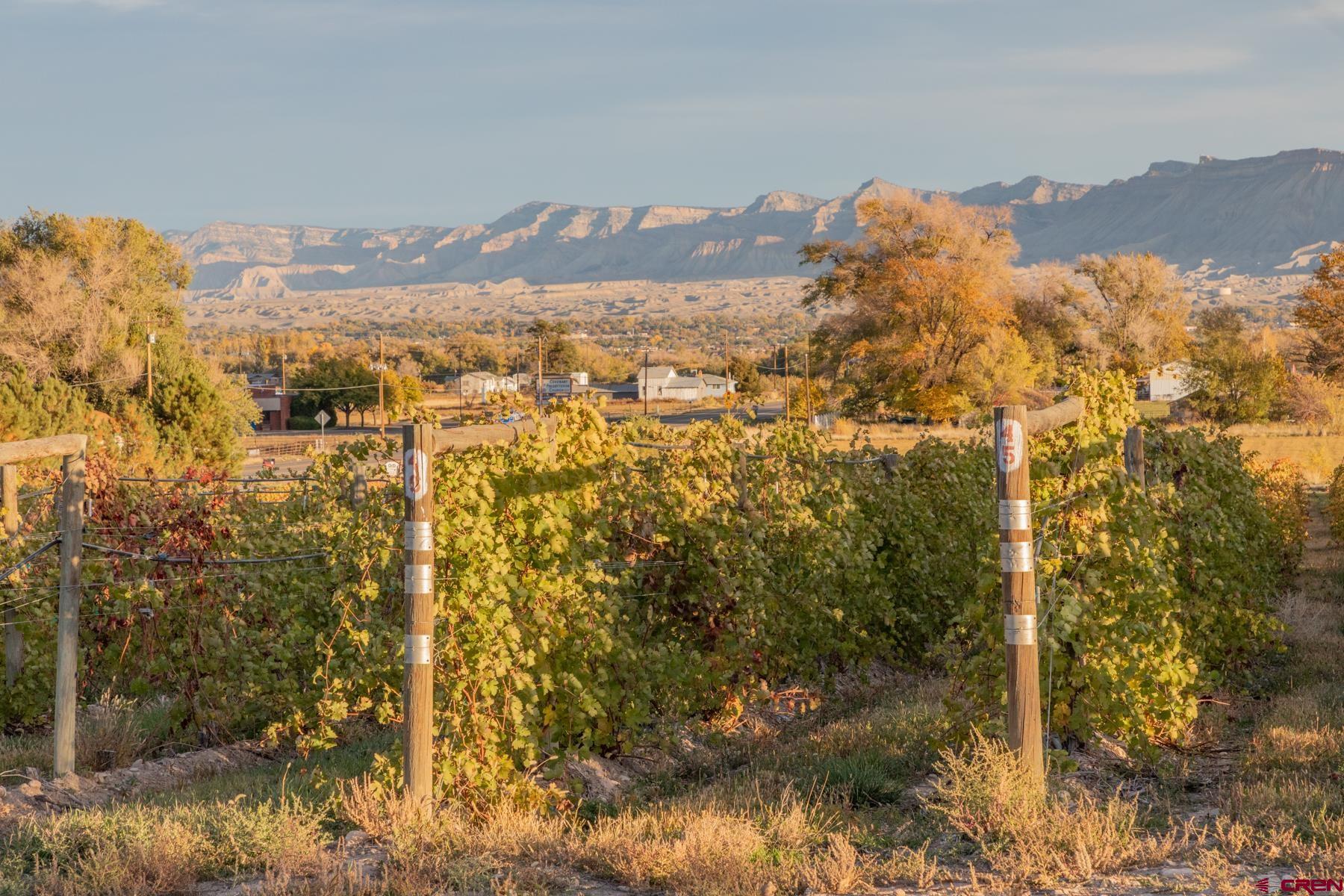 220 32 Road Grand Junction, CO 81503 - Photo 22 of 24 Gallery Image 22