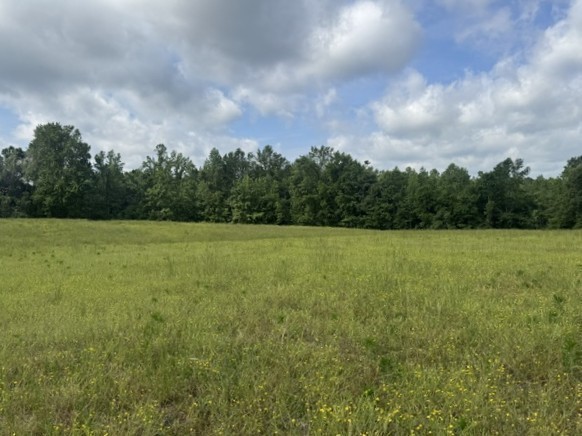 0 Cal Durham Road Bethpage, TN 37022 - Photo 23 of 28 Gallery Image 23