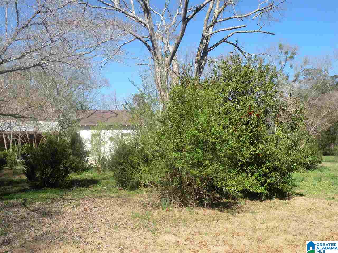 83 Gantts Junction Road Sylacauga, AL 35150 - Photo 13 of 27 Gallery Image 13