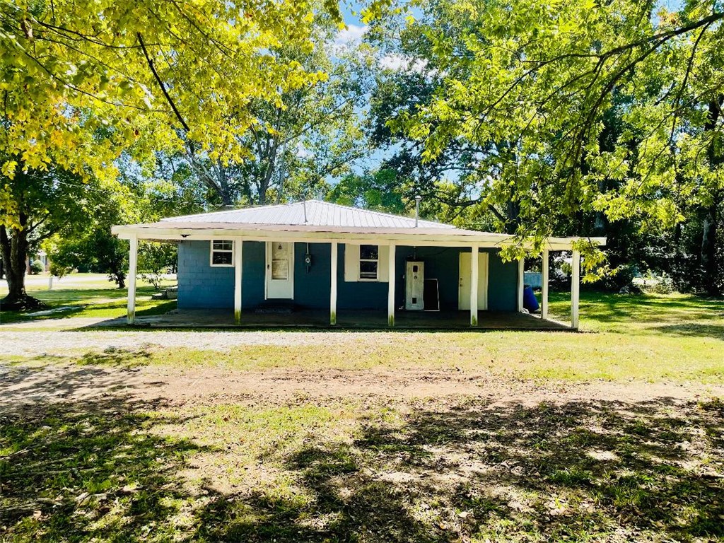 717 Rice Street Calhoun Falls, SC 29628 - Photo 24 of 29 SIDE YARD