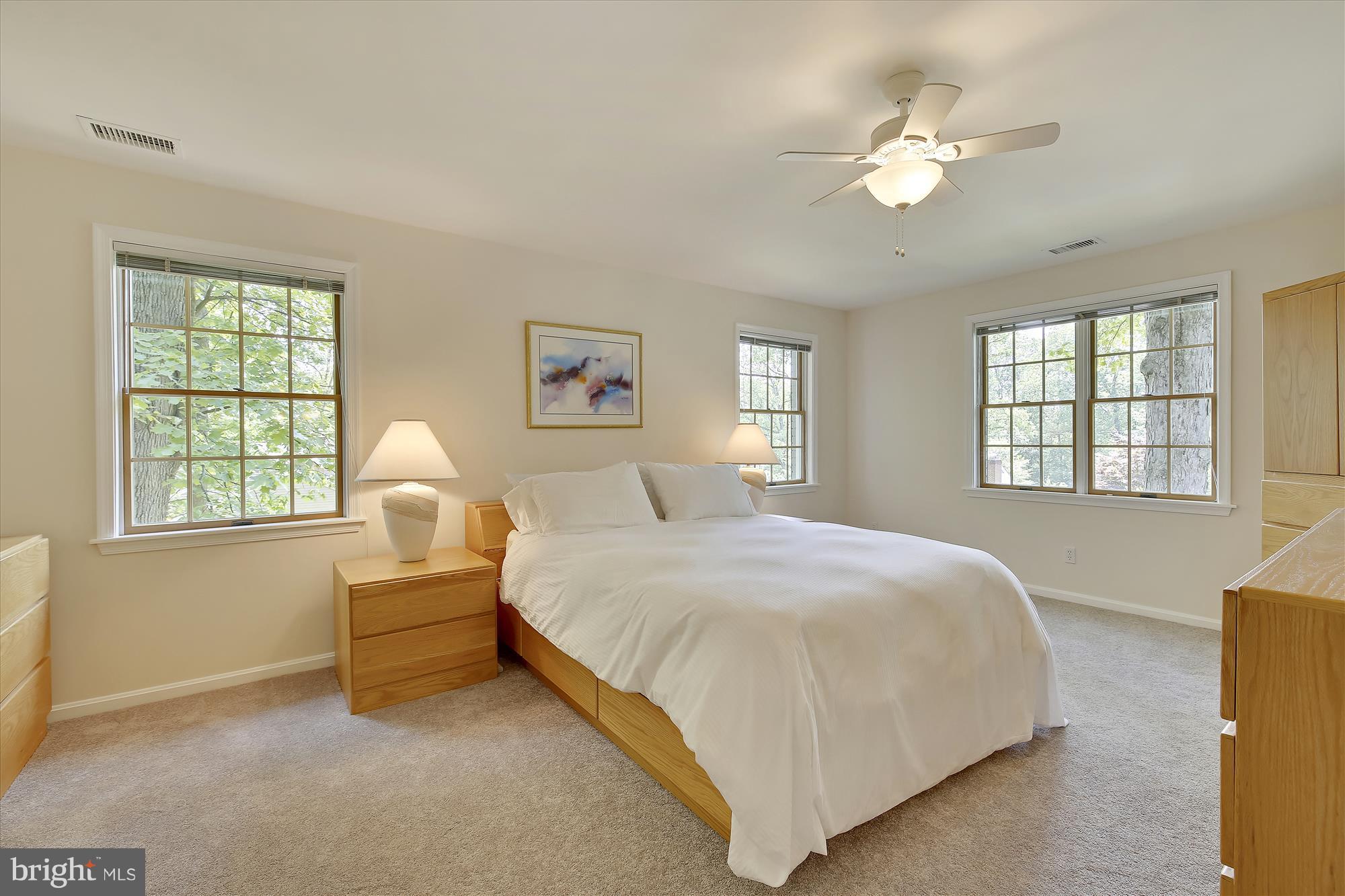 12913 Two Farm Drive Silver Spring, MD 20904 - Photo 12 of 28 Bright Master Bedroom