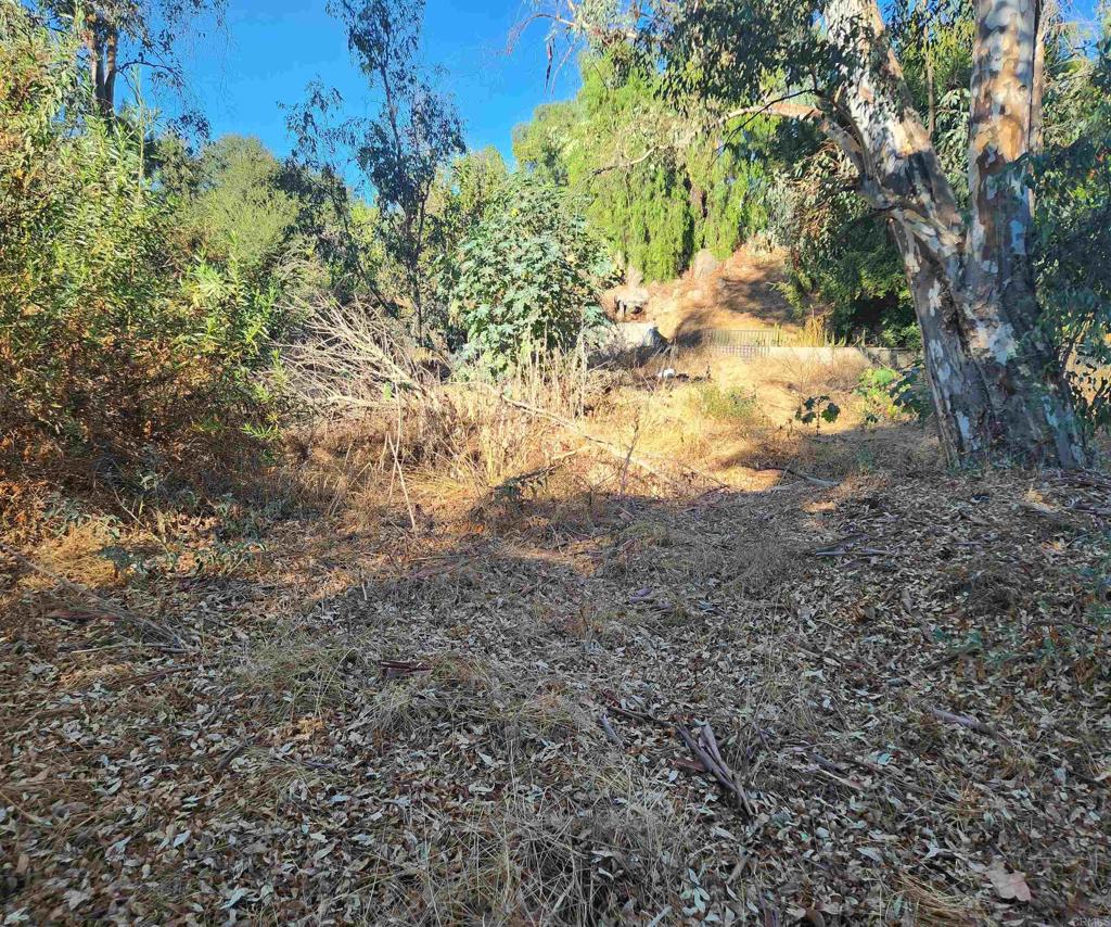 0 Piedmont Road Ramona, CA 92065 - Photo 6 of 8