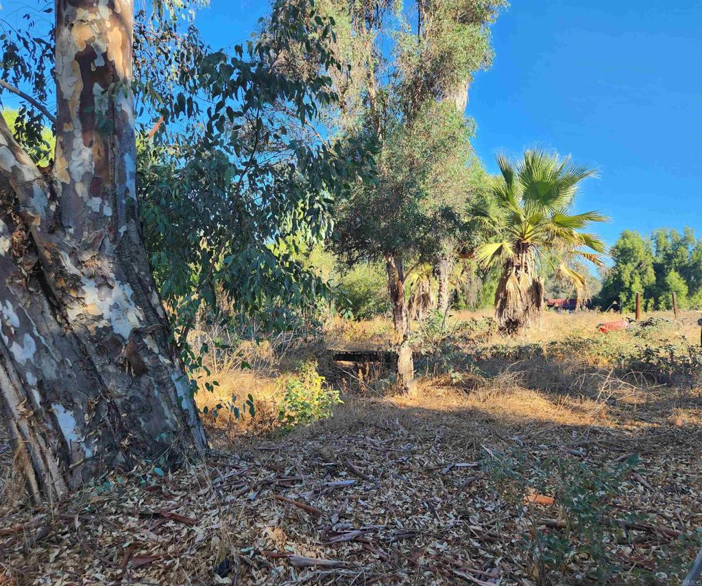 0 Piedmont Road Ramona, CA 92065 - Photo 7 of 8