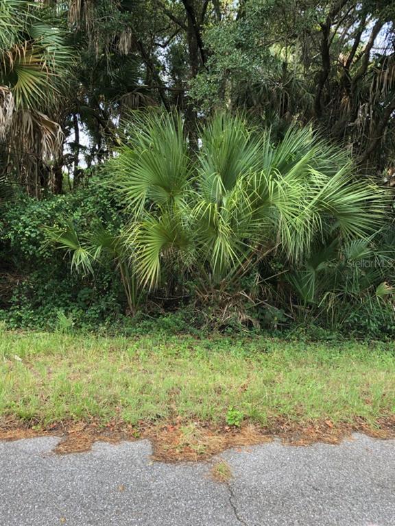Lancer Ave Port North Port, FL 34286 - Photo 1 of 1