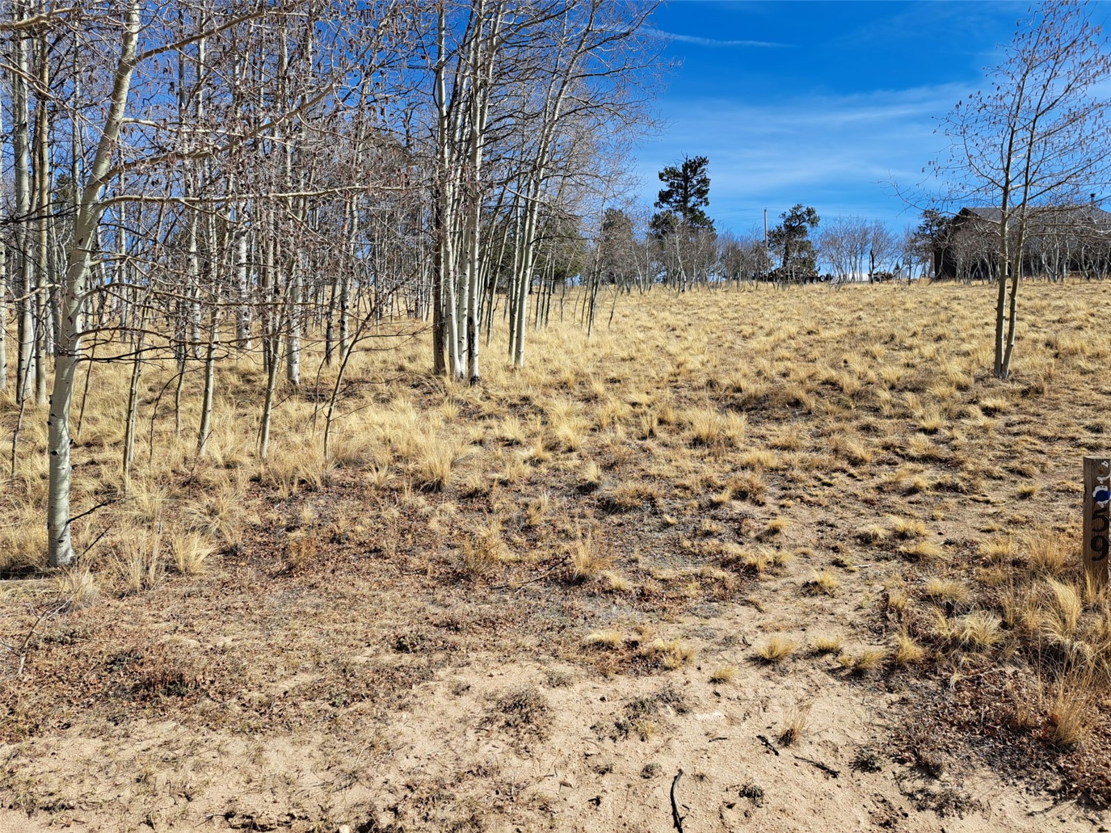 593 Pinto Trail Como, CO 80432 - Photo 12 of 21