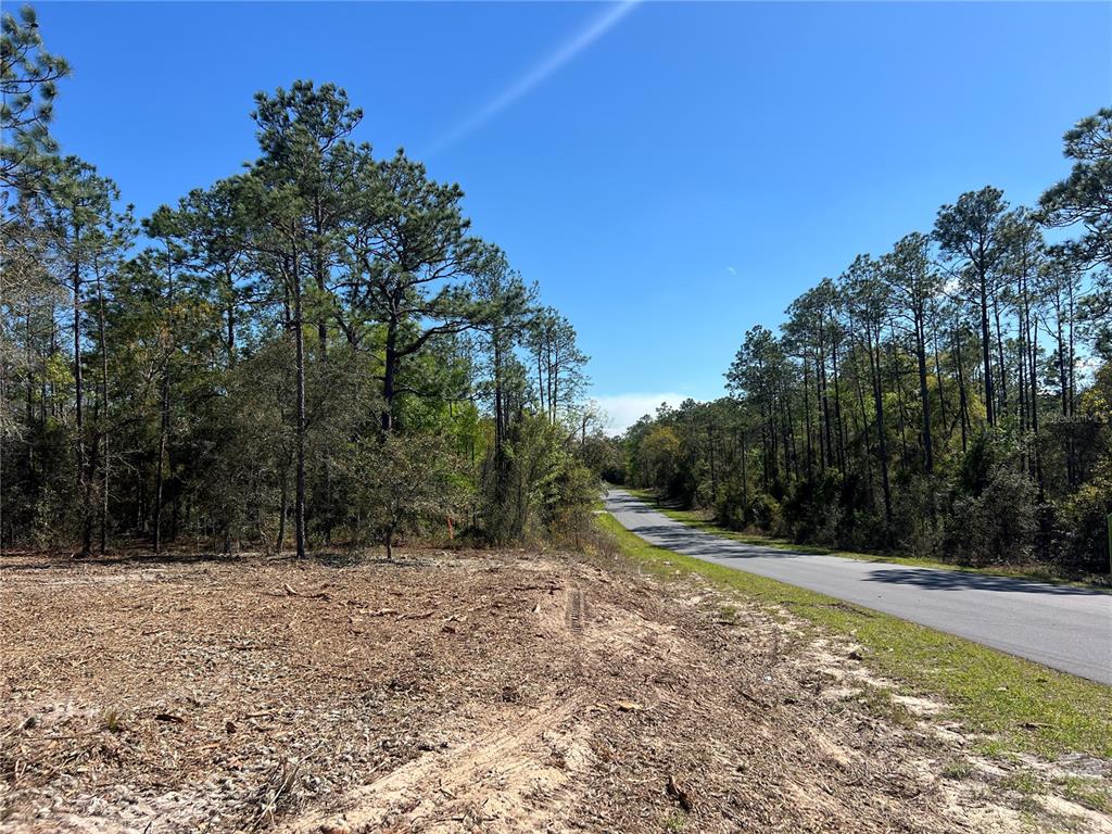 25 Southwest Timberlake Road Dunnellon, FL 34431 - Photo 16 of 27