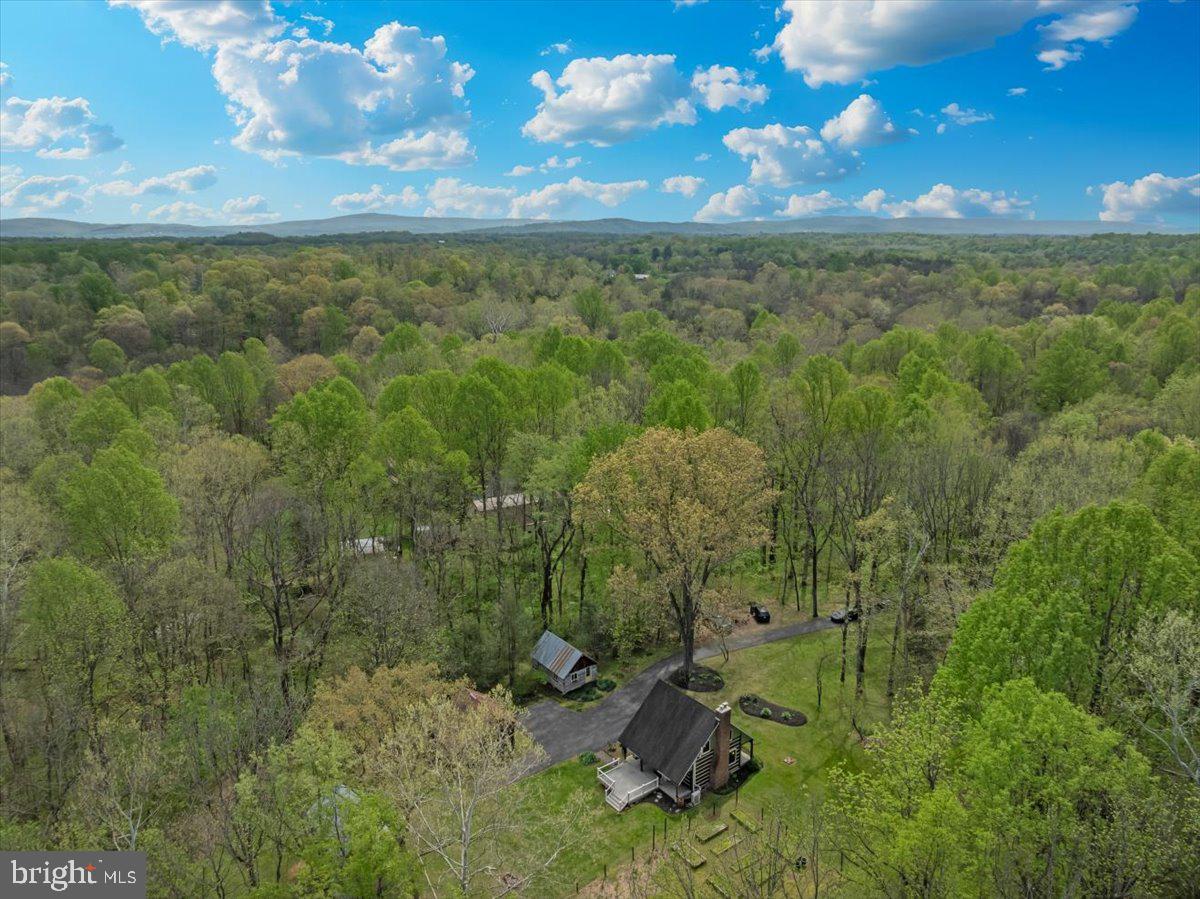16926 Sprecher Road Sharpsburg, MD 21782 - Photo 70 of 76 Serene retreat amidst lush greenery.