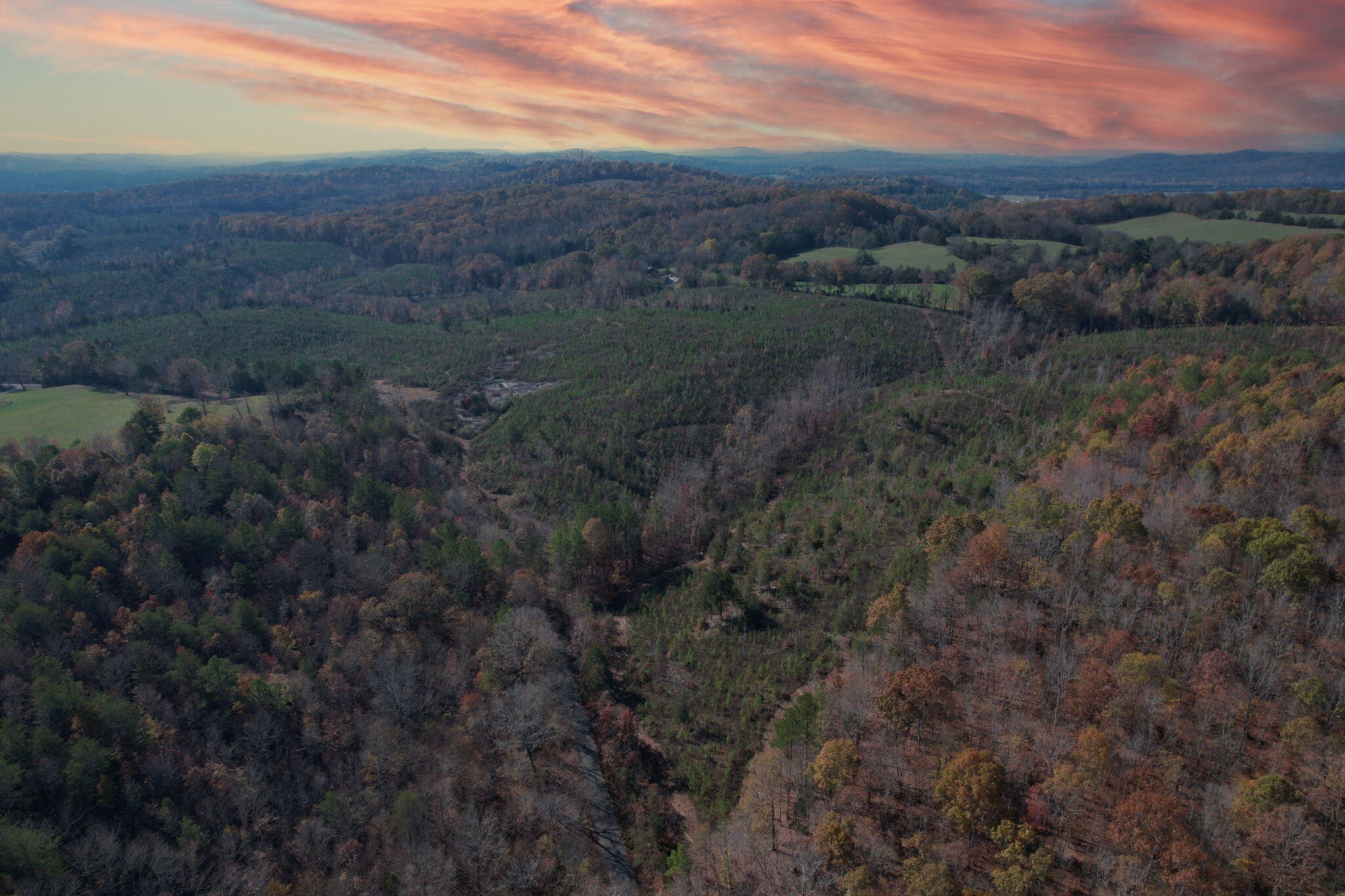 0 Big Sewee Road Decatur, TN 37322 - Photo 5 of 13 a view of a field with trees