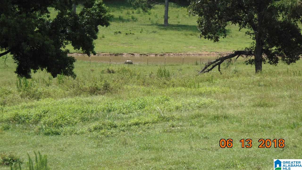 0 West Ashby Road Brierfield, AL 35035 - Photo 3 of 22