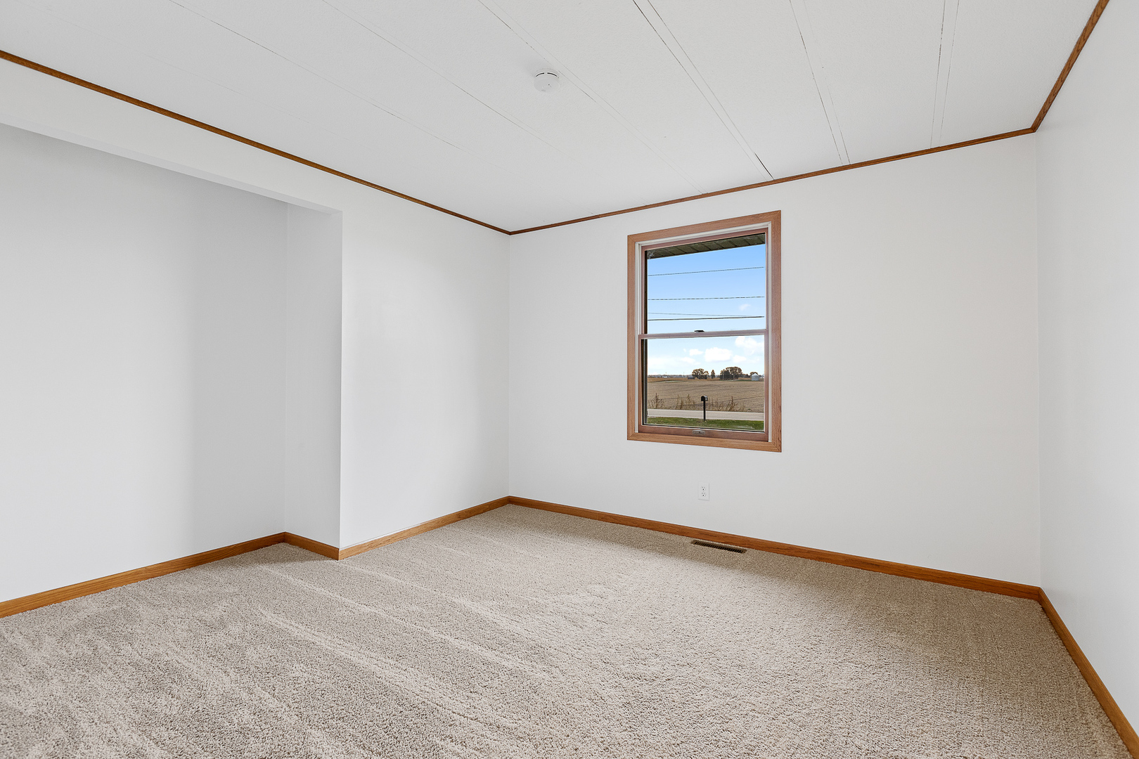 2380 Collins Road Oswego, IL 60543 - Photo 9 of 21 Gallery Image 9