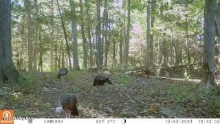 775 Oscar Bradley Road Perryville, KY 40468 - Photo 31 of 34 IMG_2430