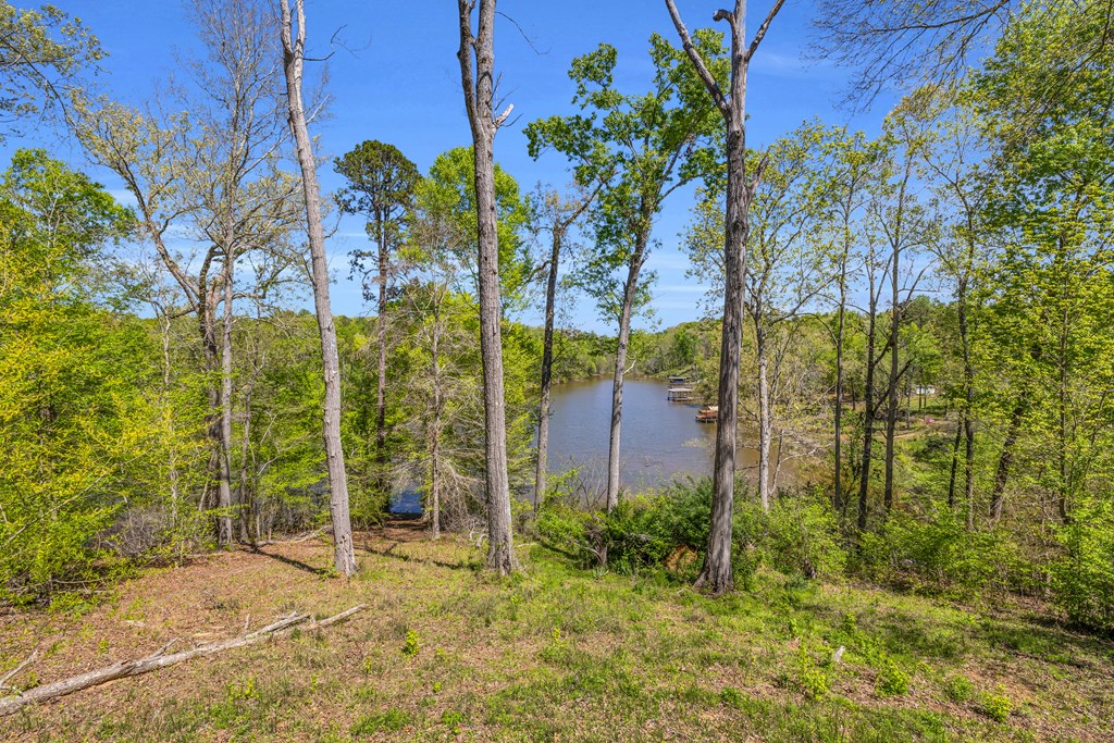 586 North Ruth Walker Road Waterloo, SC 29384 - Photo 20 of 22