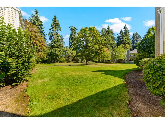 a view of a house with a yard and potted plants