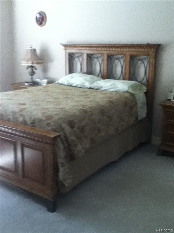61997 Mt Vernon Road Washington, MI 48094 - Photo 8 of 16 photo(8).JPG