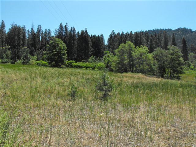1537 Rickey Canyon Road Kettle Falls, WA 99141 - Photo 1 of 4 Gallery Image 1