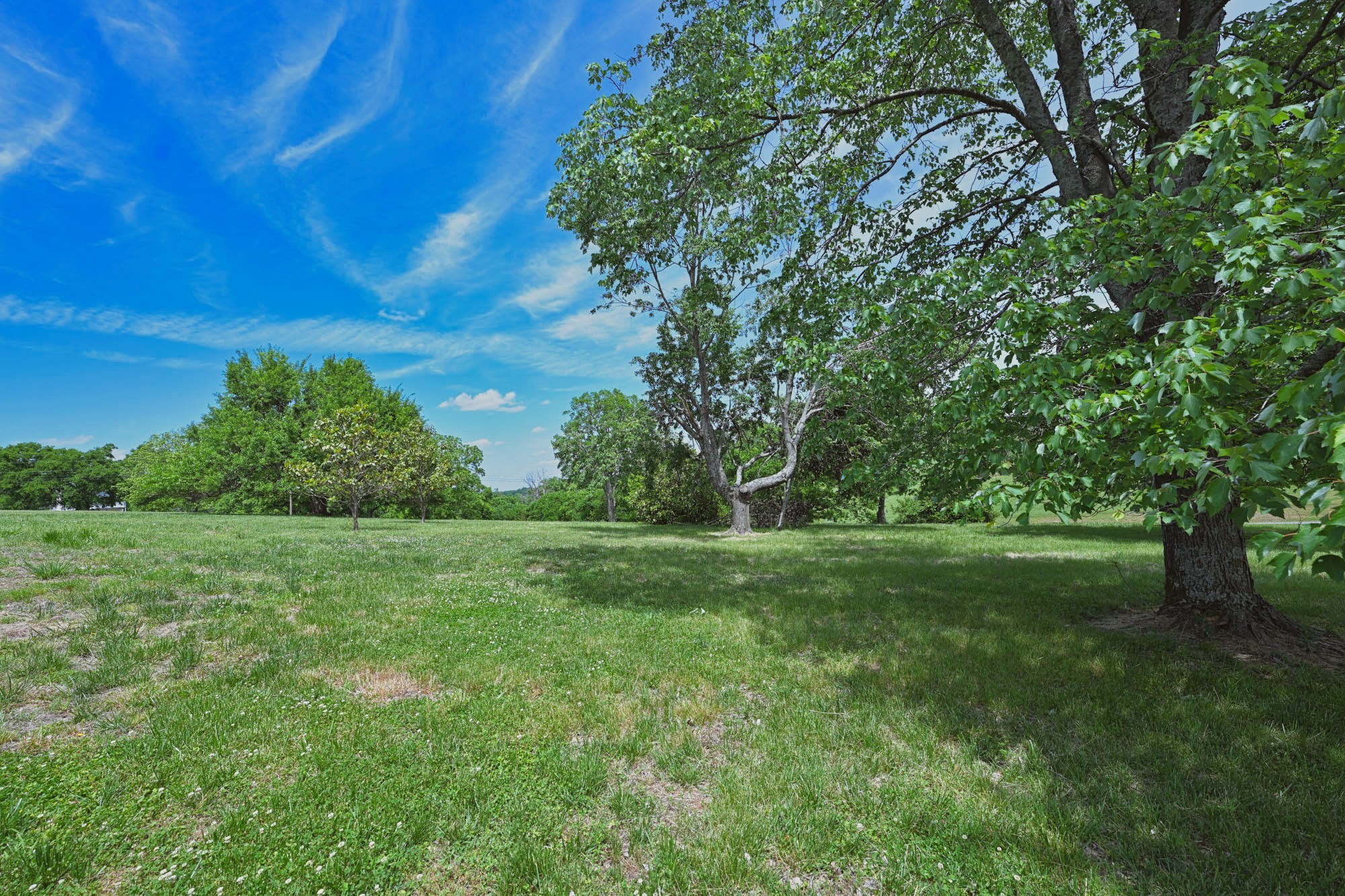 795 New Shackle Island Road Hendersonville, TN 37075 - Photo 38 of 41 a view of field with trees in the background