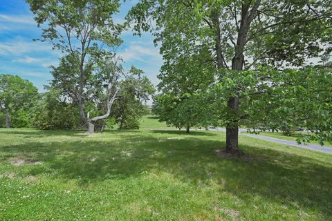 a view of a yard with a tree