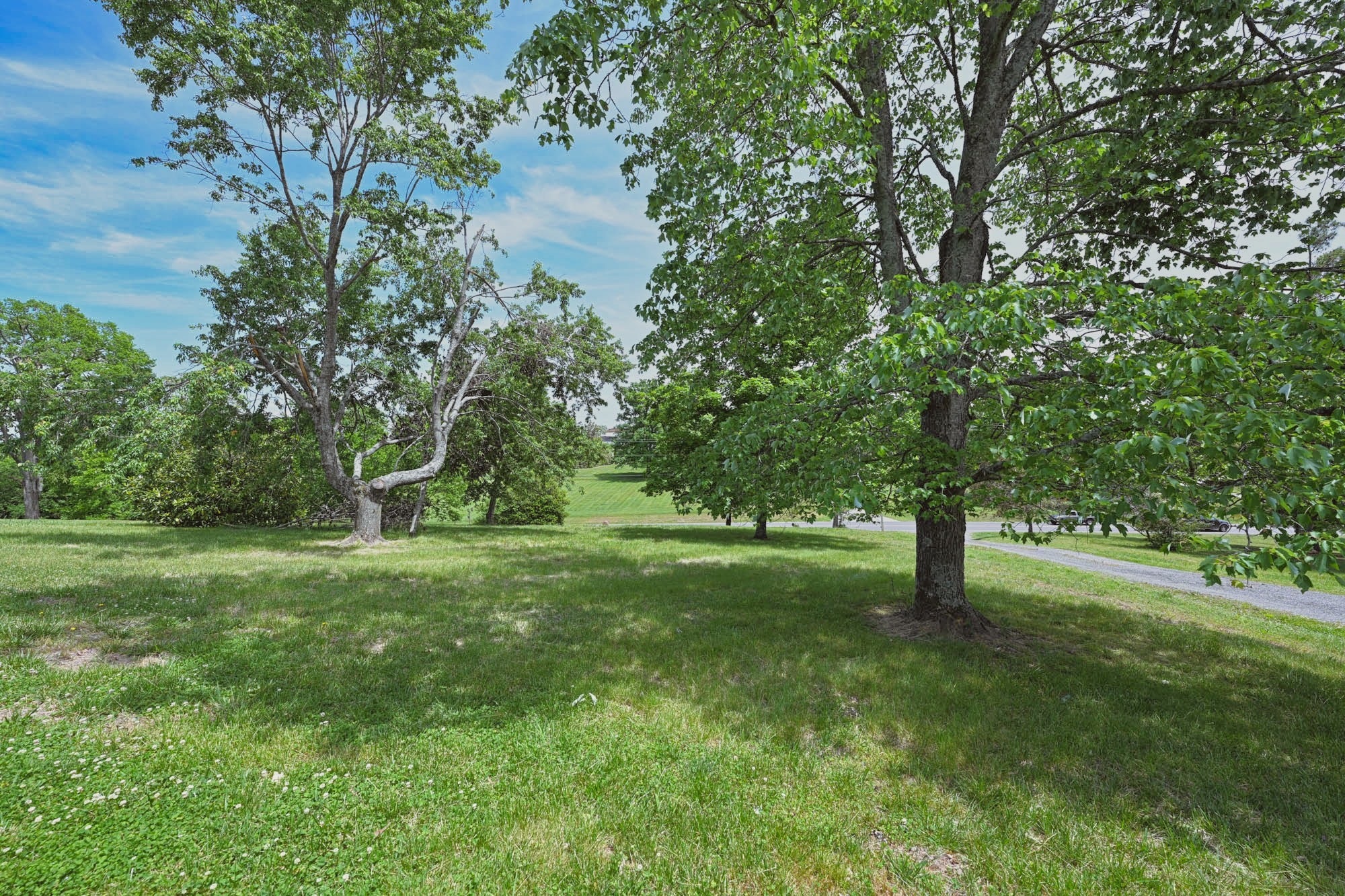 795 New Shackle Island Road Hendersonville, TN 37075 - Photo 39 of 41 a view of a yard with a tree