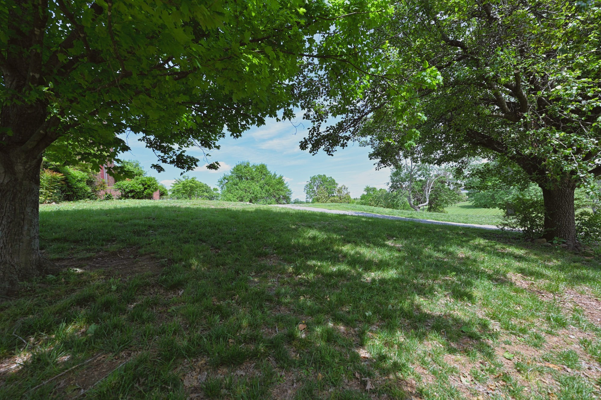 795 New Shackle Island Road Hendersonville, TN 37075 - Photo 40 of 41 a view of a grassy field with trees