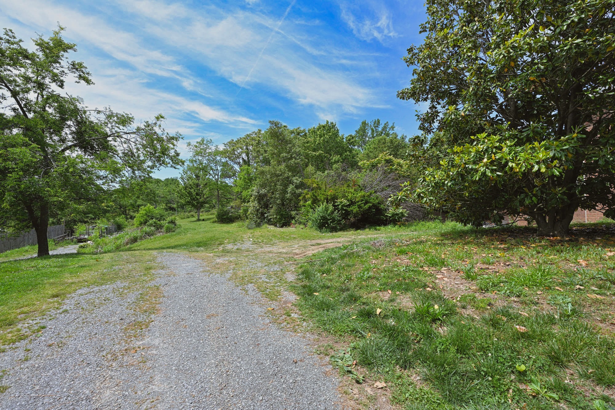 795 New Shackle Island Road Hendersonville, TN 37075 - Photo 41 of 41 a view of a yard with a tree