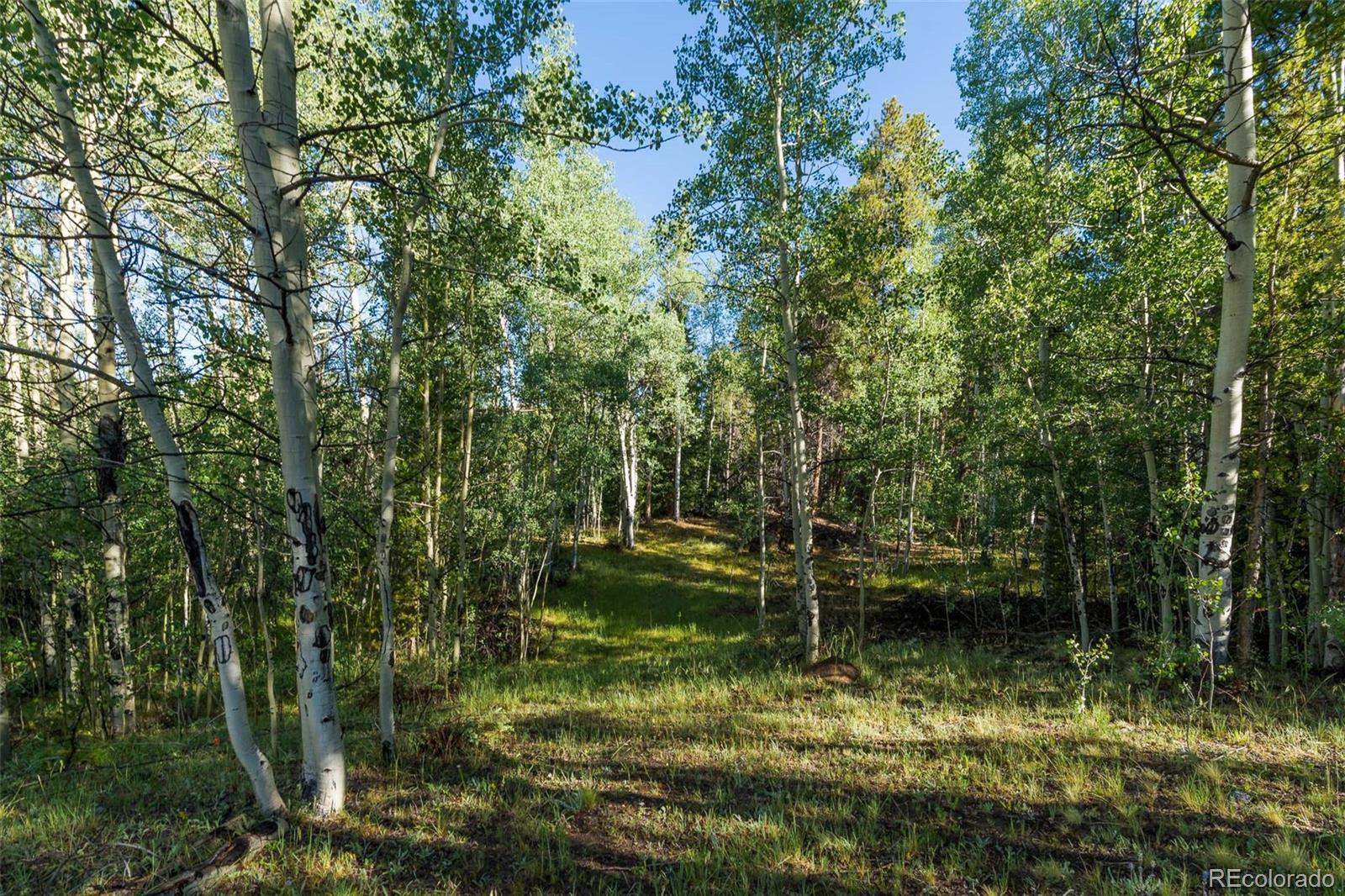 Lot 1 Snow Cap Peaks Road Fairplay, CO 80440 - Photo 4 of 20