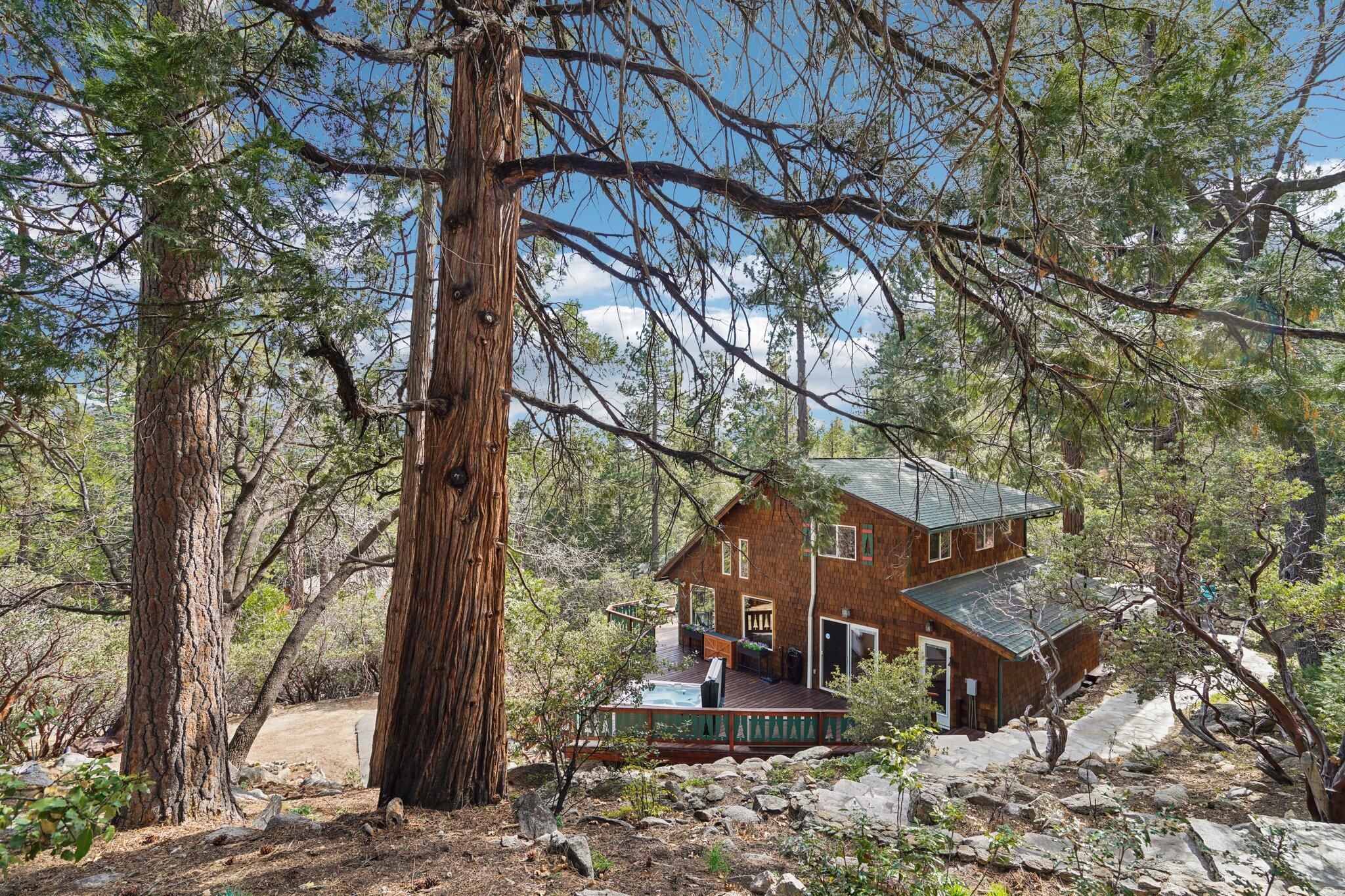 25361 Skyline Way Idyllwild, CA 92549 - Photo 36 of 42 a tree in a backyard of a house
