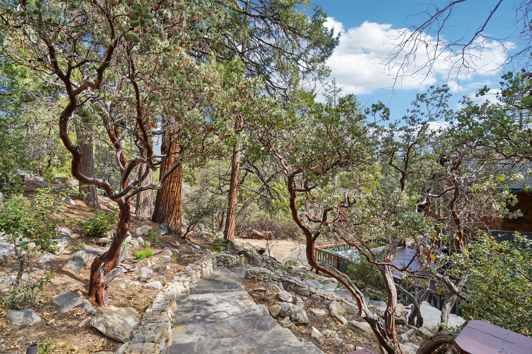 25361 Skyline Way Idyllwild, CA 92549 - Photo 40 of 42 a backyard of a house with lots of green space