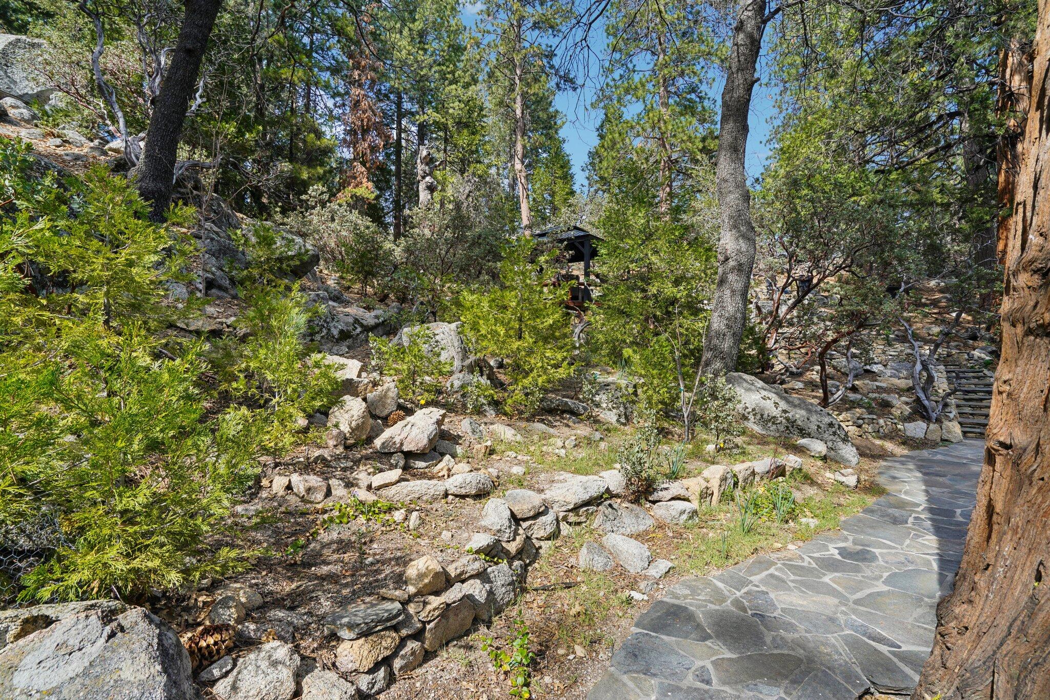 25361 Skyline Way Idyllwild, CA 92549 - Photo 41 of 42 a view of a yard with a tree