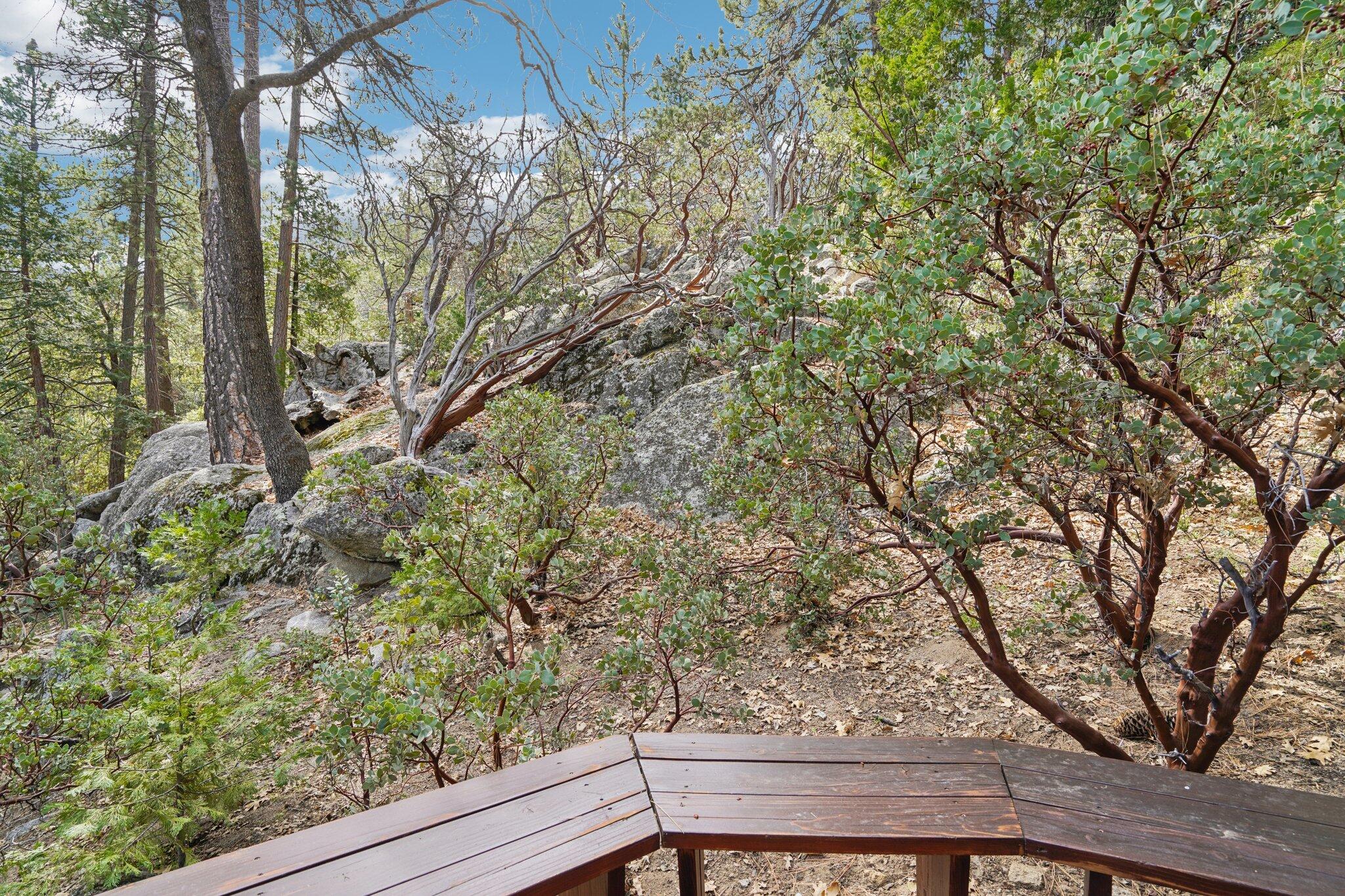 25361 Skyline Way Idyllwild, CA 92549 - Photo 42 of 42 a view of a tree with wooden fence