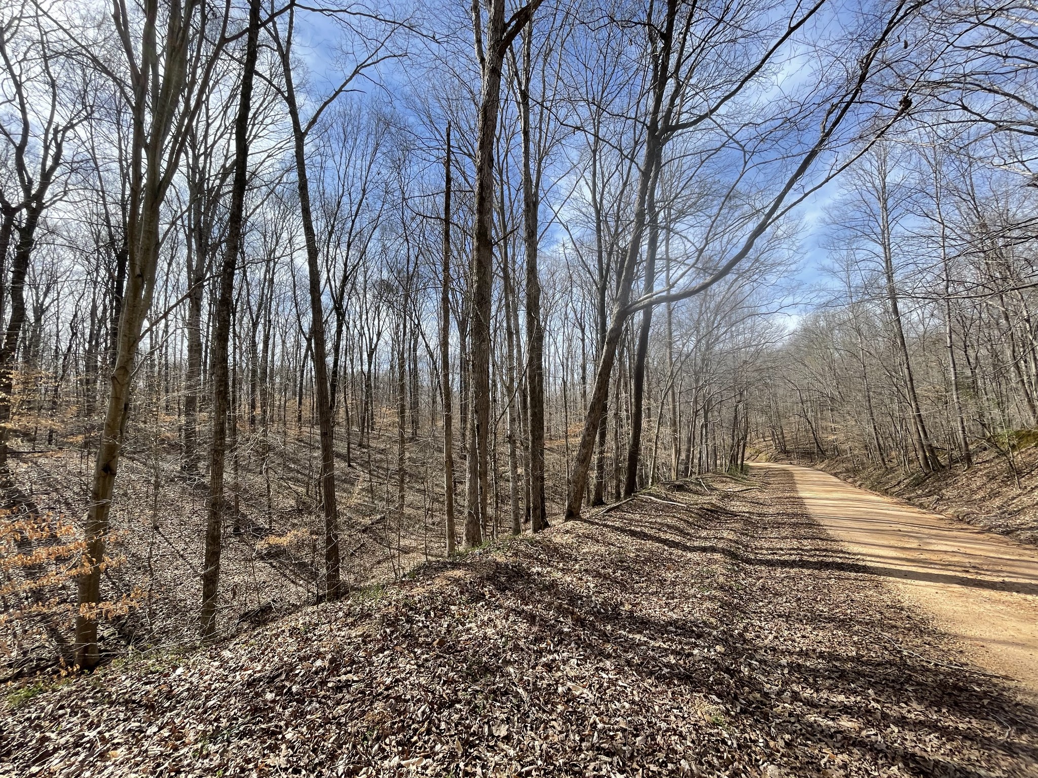0 Whitson Bend Road Centerville, TN 37033 - Photo 25 of 36 Gallery Image 25